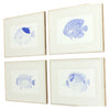 Vision Studio Blue Fish Framed Art Set of 4