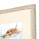 Sheppard Sea Turtle Reef Framed Art Set of 4