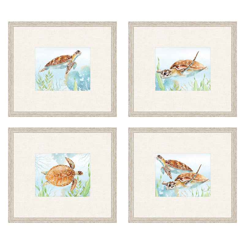 Sheppard Sea Turtle Reef Framed Art Set of 4