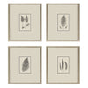 Langdon Petite Ferns Framed Art Set of 4