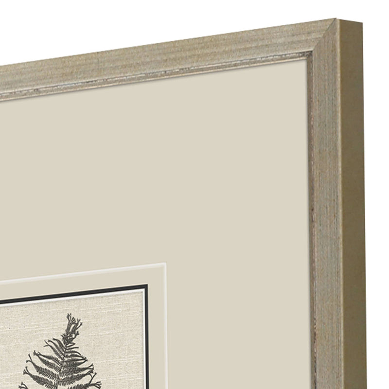 Langdon Petite Ferns Framed Art Set of 4