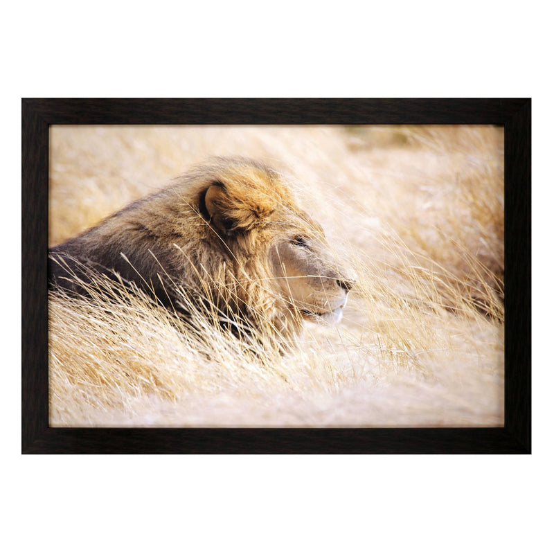 Lacomino Quiet Observation Framed Art