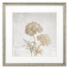 Loreth Delicate Beauty I Framed Art