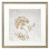 Loreth Delicate Beauty II Framed Art