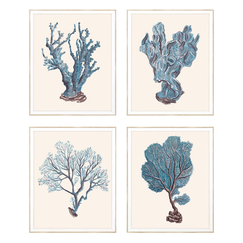 Wang Indigo Reef Framed Art Set of 4