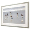 Langdon Sandpiper Reflections Framed Art