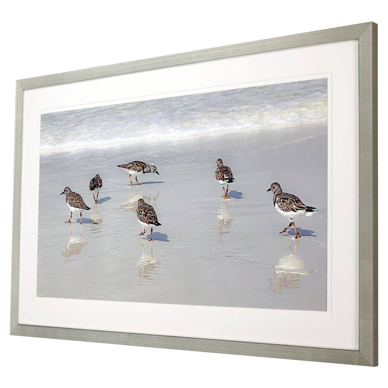 Langdon Sandpiper Reflections Framed Art