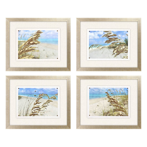 Loreth Watercolor Sea Oats Framed Art Set of 4