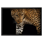 Goodrich African Leopard Stalk Framed Art