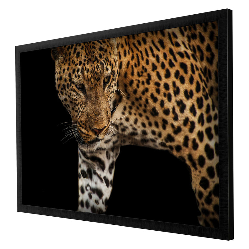 Goodrich African Leopard Stalk Framed Art