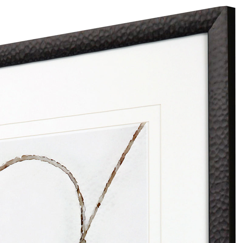 Petal Prints Lasso Framed Art