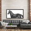 Woodard Equine Sketch Framed Art