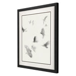 Hegre Birds in Flight Framed Art