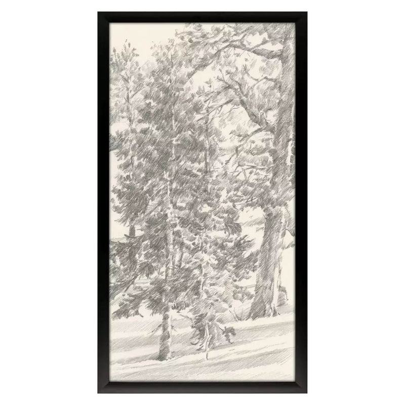 Harper Tree Study II Framed Art