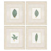 Giclee Studio Leaf Adorned I Framed Art Set of 4