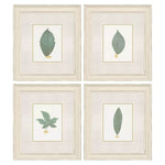 Giclee Studio Leaf Adorned I Framed Art Set of 4