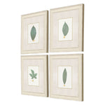 Giclee Studio Leaf Adorned I Framed Art Set of 4