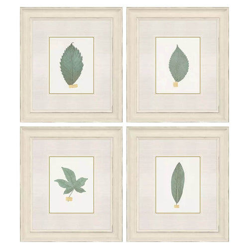 Giclee Studio Leaf Adorned I Framed Art Set of 4