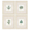 Giclee Studio Leaf Adorned II Framed Art Set of 4