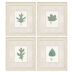 Giclee Studio Leaf Adorned II Framed Art Set of 4