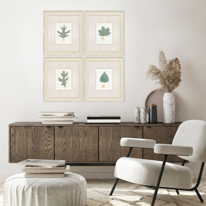 Giclee Studio Leaf Adorned II Framed Art Set of 4