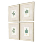 Giclee Studio Leaf Adorned II Framed Art Set of 4