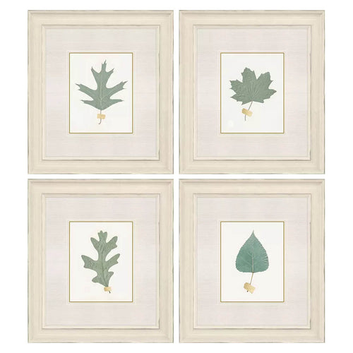 Giclee Studio Leaf Adorned II Framed Art Set of 4