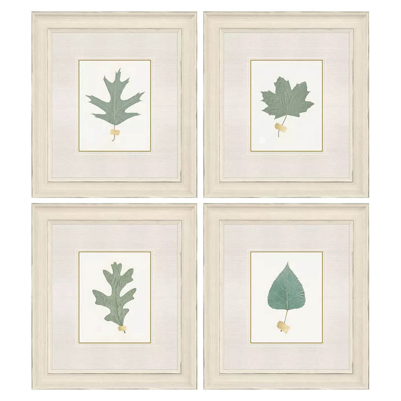 Giclee Studio Leaf Adorned II Framed Art Set of 4