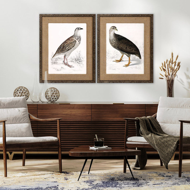 Francolinus Birds Framed Art Set of 2