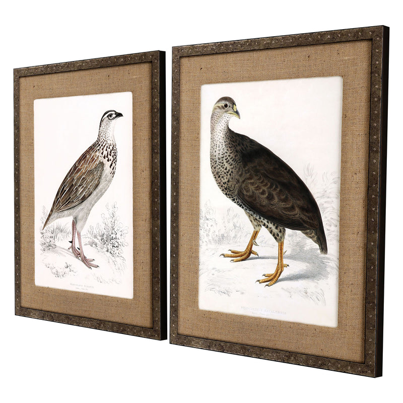 Francolinus Birds Framed Art Set of 2