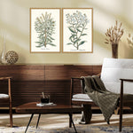 Giclee Studio Botanical Plants I Framed Art Set of 2