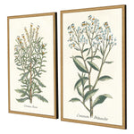 Giclee Studio Botanical Plants I Framed Art Set of 2