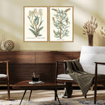 Giclee Studio Botanical Plants III Framed Art Set of 2