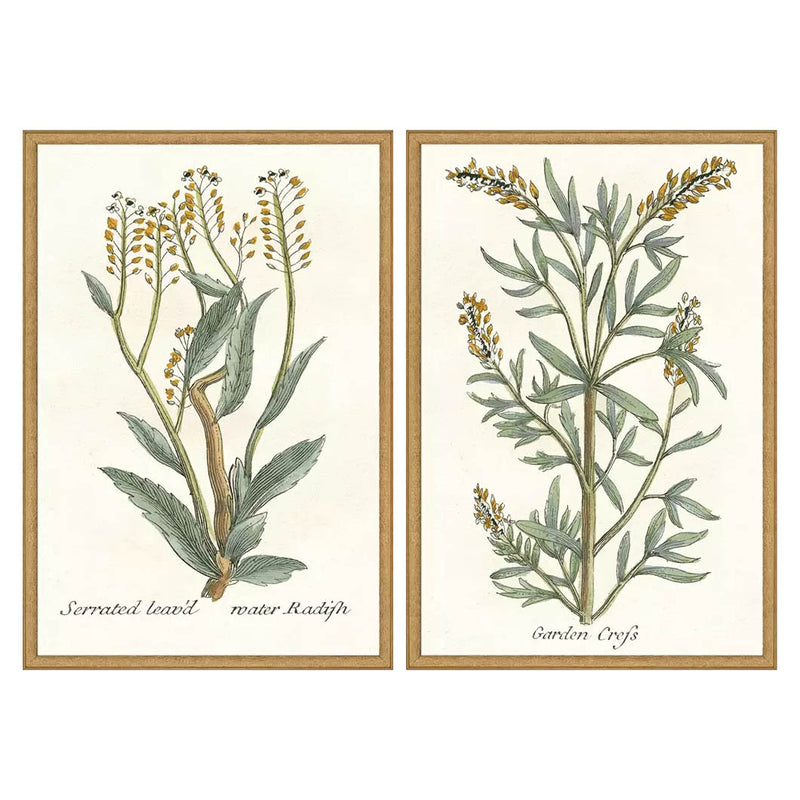 Giclee Studio Botanical Plants III Framed Art Set of 2