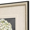 Pinto Hydrangeas on Black Framed Art Set of 2