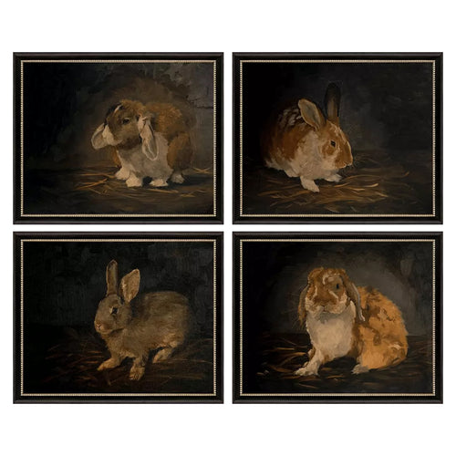 Parsons Resting Bunny Framed Art Set of 4