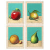 Wilson Golden Fruit Framed Art Set of 4