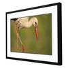 Widstrand Collected Calm Framed Art