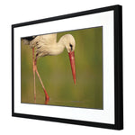 Widstrand Collected Calm Framed Art