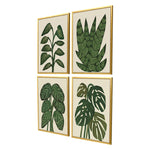 Watts Tropical Abundance Framed Art Set of 4