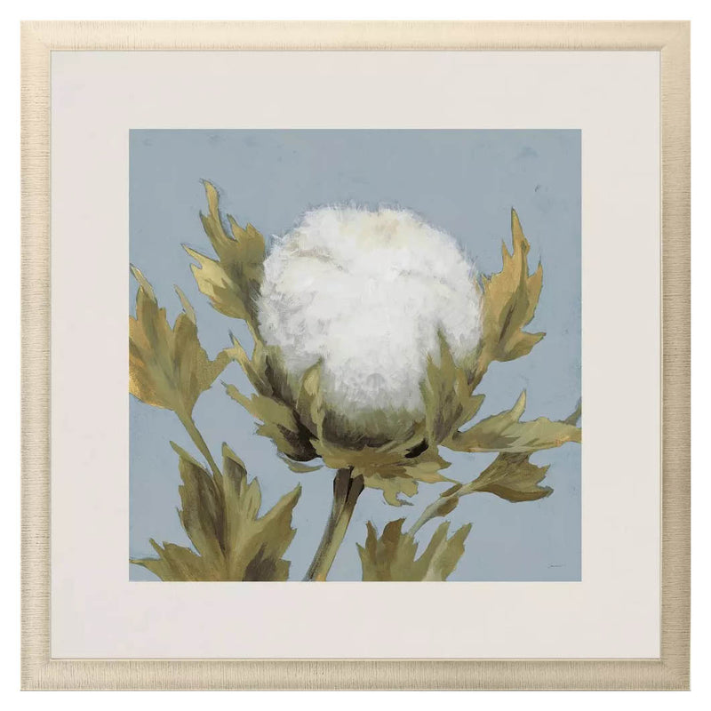 Jardine Cotton Balls I Framed Art