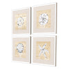 Armant Ocean Gems Framed Art Set of 4