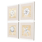 Armant Ocean Gems Framed Art Set of 4