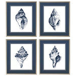 Caroline Quiet Conch Framed Art Set of 4