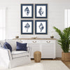 Caroline Quiet Conch Framed Art Set of 4