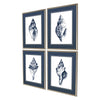 Caroline Quiet Conch Framed Art Set of 4