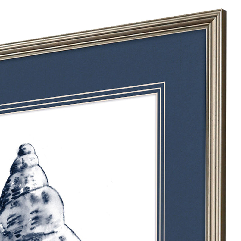 Caroline Quiet Conch Framed Art Set of 4