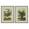 Jans Calming Vista Framed Art Set of 2