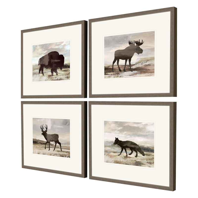 Anne Rushout Wilderness Explorer Framed Art Set of 4