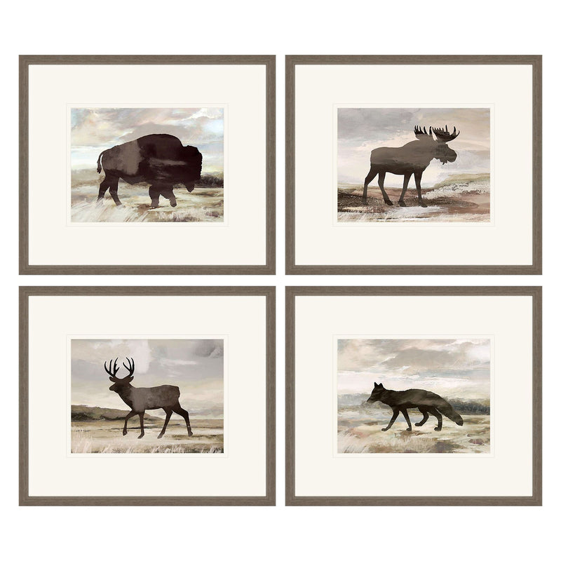 Anne Rushout Wilderness Explorer Framed Art Set of 4